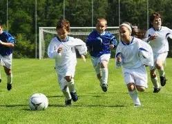 李白,撒贝宁,岁外籍爱妻,MK体育平台,MK体育官方网站,MK体育登录入口,MK体育app下载