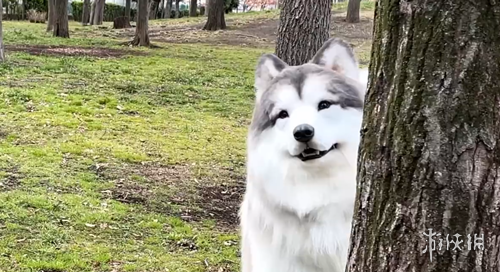 体育,资讯,MK体育,MK体育平台,MK体育官方网站,MK体育登录入口,MK体育app下载