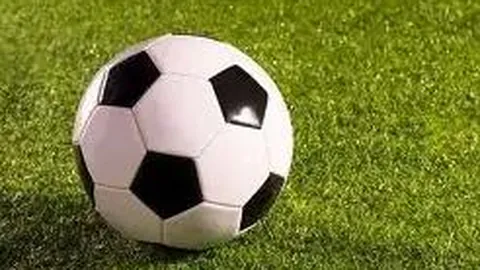 MK体育 资讯 134745 ilc