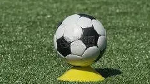 MK体育 产品 115441 jof