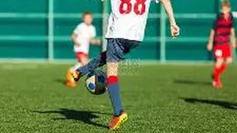 MK体育 资讯 135423 0pp